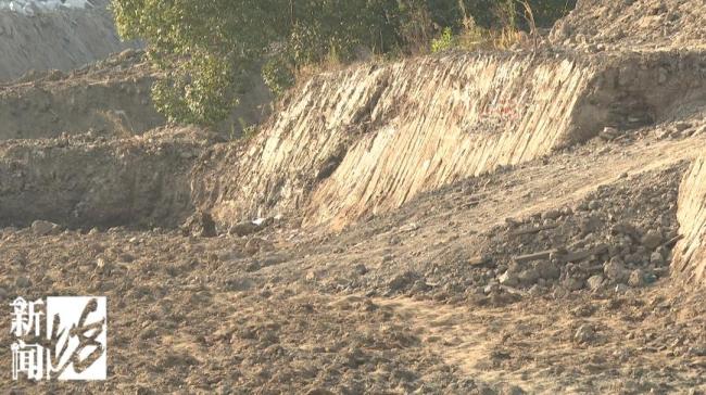 文物部門未收繳到工地出土銀元 市民挖寶熱潮引發(fā)關注