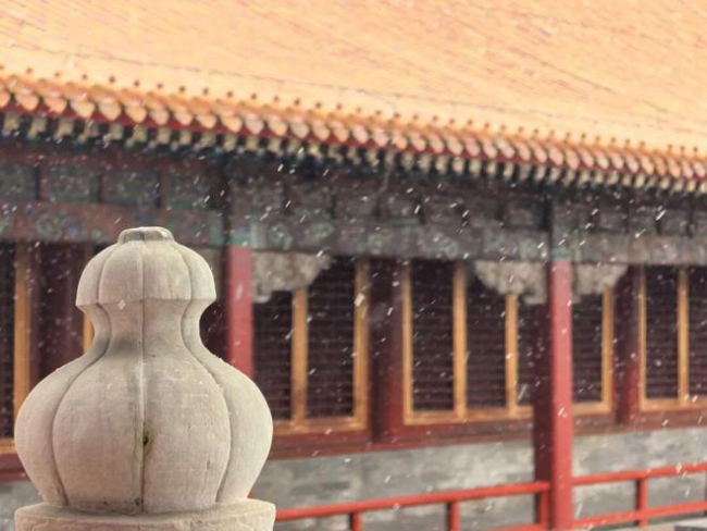 天津下雪 全市迎來初雪天氣