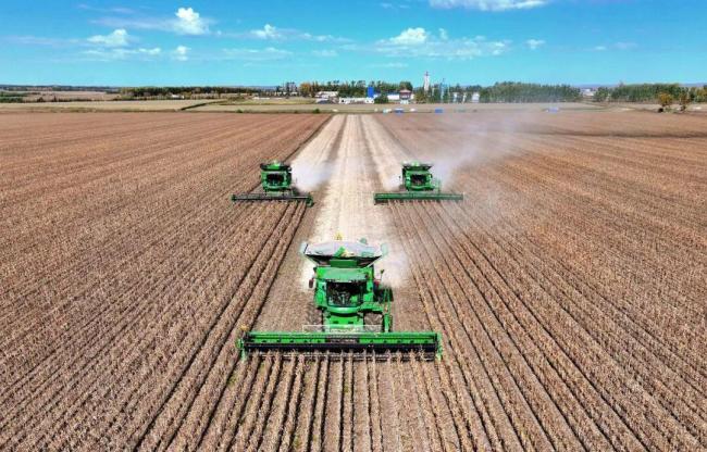 端牢中國飯碗有信心有底氣