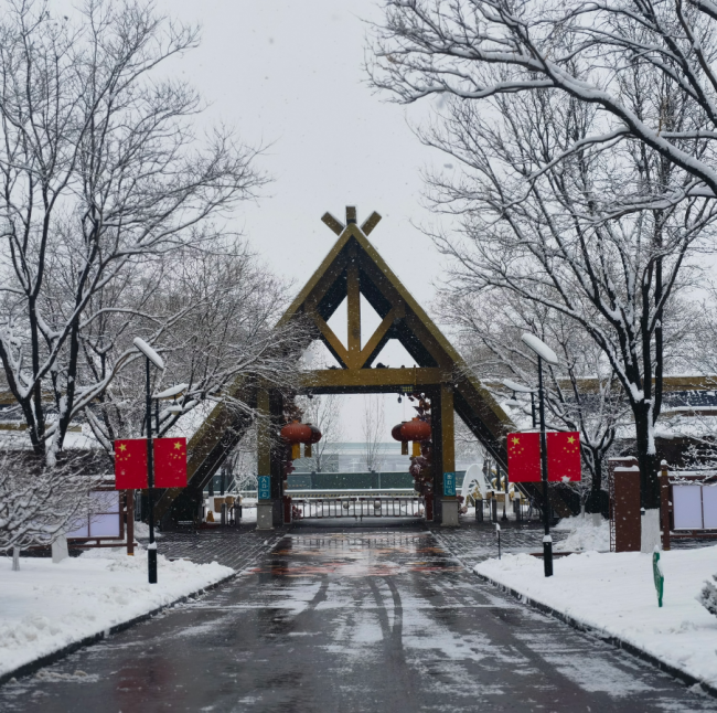 濟(jì)南九大公園同步換“銀裝” 雪景如畫冬日浪漫