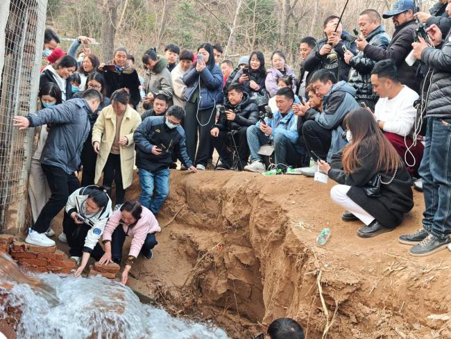 賈魯河源頭為何“復活”了