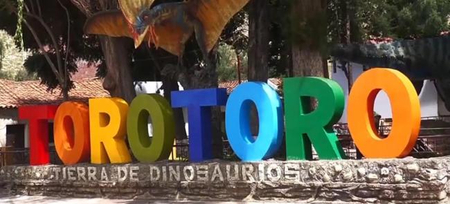 玻利維亞發(fā)現(xiàn)1.66萬個恐龍腳印 全球規(guī)模最大足跡群