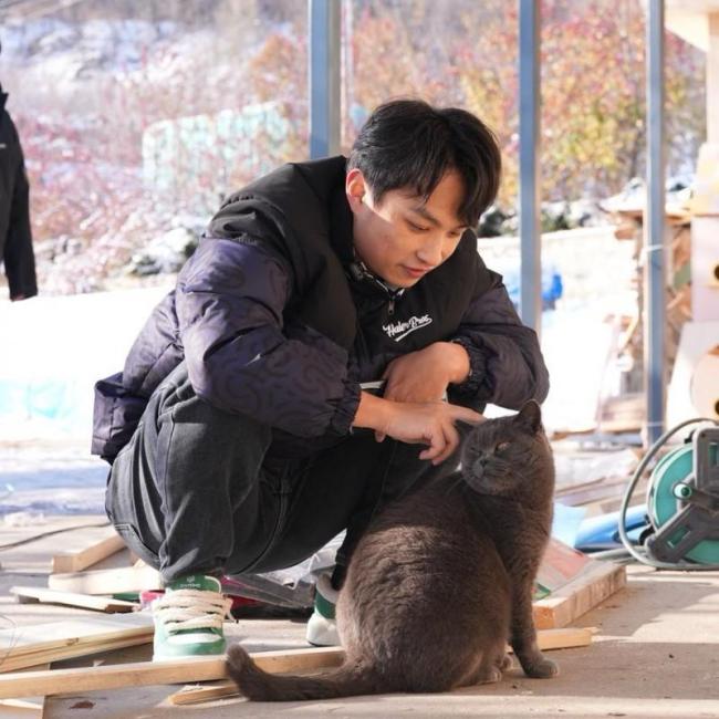 博主為60只流浪貓建過冬別墅 科技向善暖人心