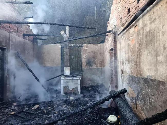 11岁的她 救了一个村 冷静报警防大火