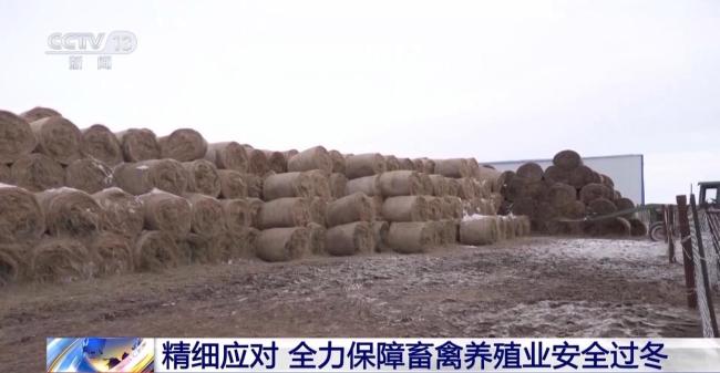 直击寒潮下的农作物“保卫战” 科学防寒保丰收