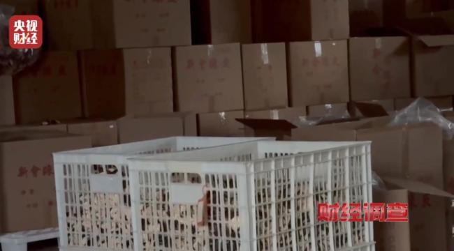 新会陈皮造假 地理标志岂能成摇钱树 严打假冒伪劣