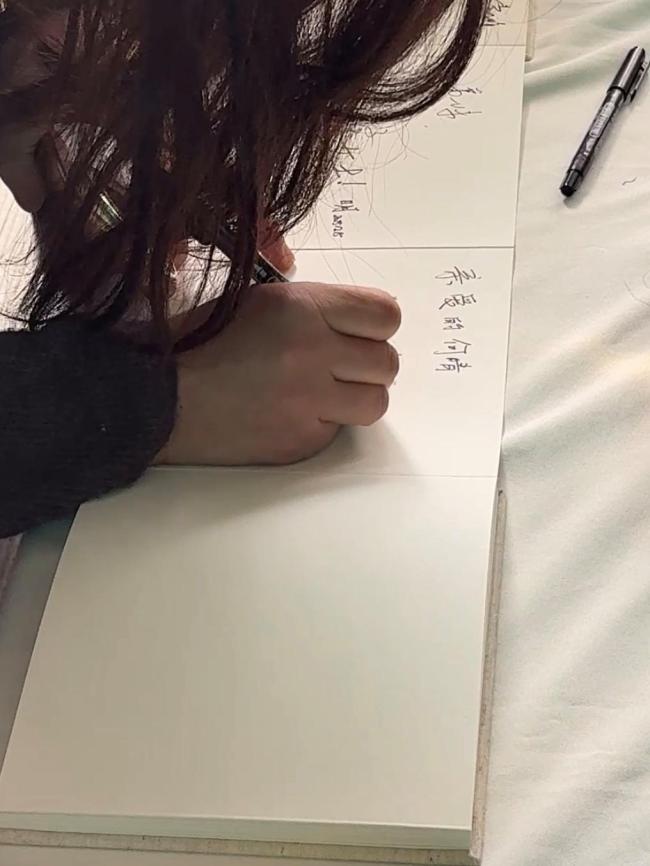 儿子在何晴告别仪式上追忆母亲：妈妈喜欢雪，北京初雪是为她而下