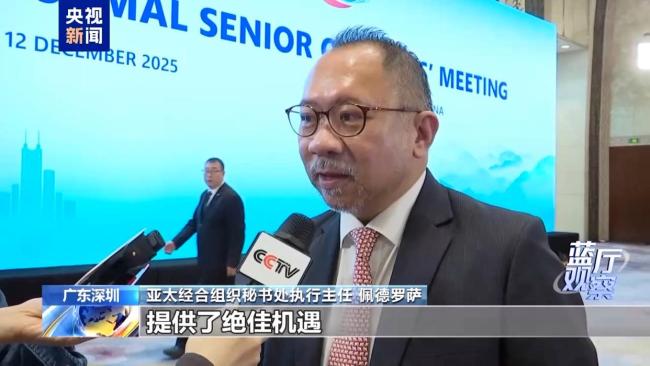 被寄予厚望的APEC“中國年”有何看點？