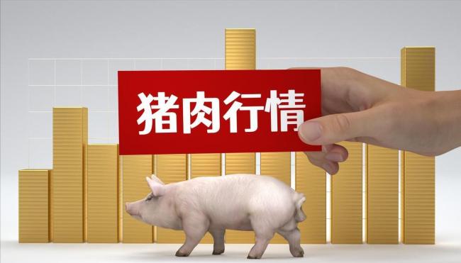 生猪、鸡蛋走势“分道扬镳” 供应与需求博弈加剧