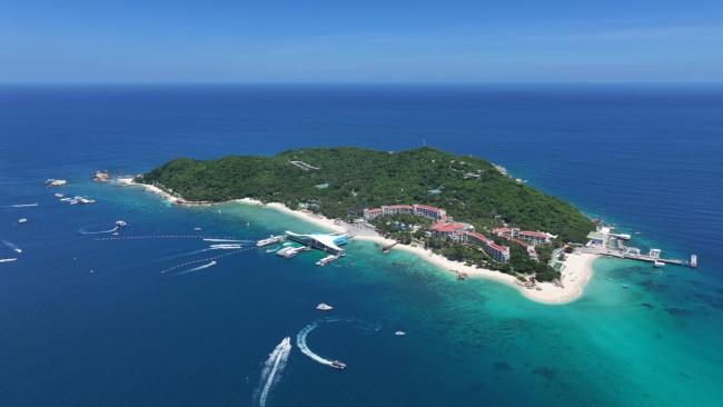 “海底造林”让三亚海棠焕新 生态修复见成效