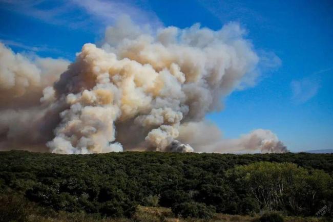 机构:2025年为有记录来第二热年