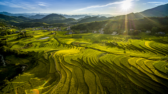 陕西首部世界灌溉工程遗产保护法出台 凤堰梯田获专项立法保护