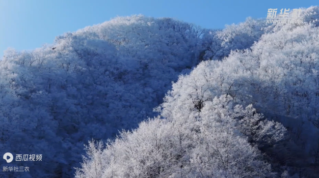 河南济源：王屋山现雾凇景观