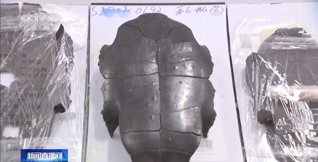 考古新發現！出土實物帶你解密這位楚王的日常