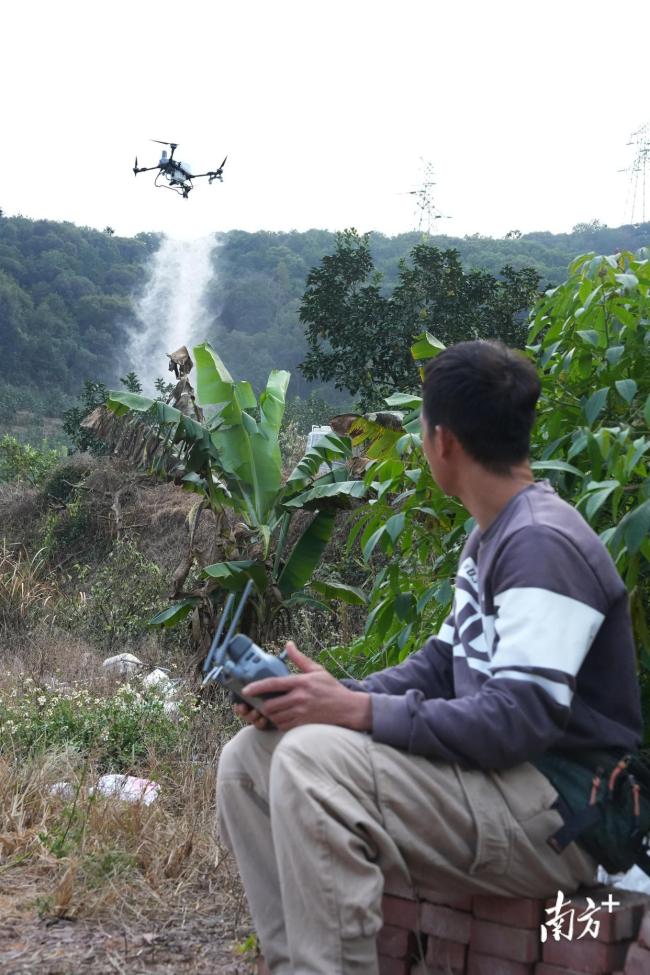 山坳里的“3J”新农活！10多万买无人机2个月就回本 