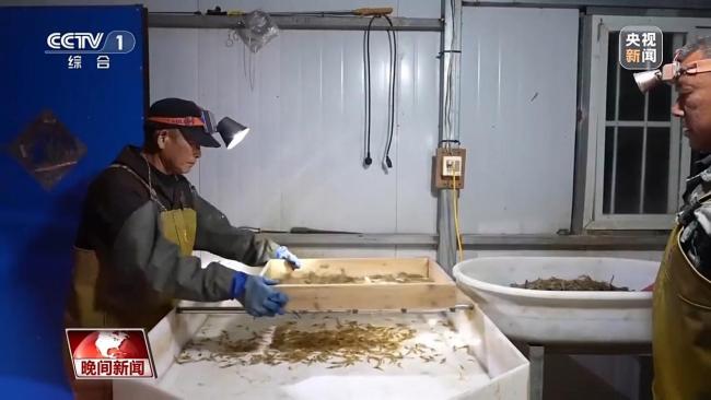 从多领域成就 感受中国经济活力