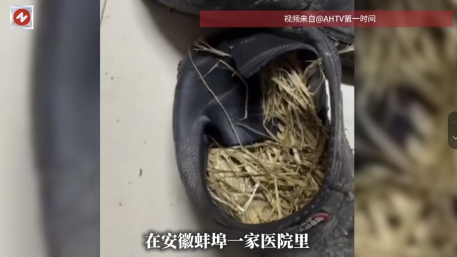 大爷旧鞋塞满稻草带脑梗老伴抢救 辛酸一幕引人泪目