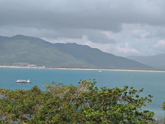 特朗普切走一半台积电愿望能否实现