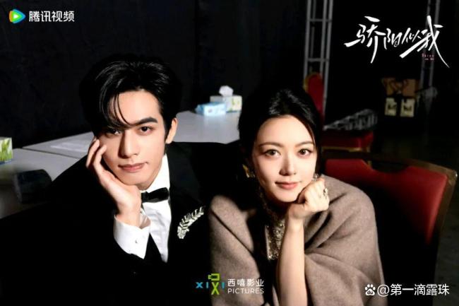 骄阳似我弹幕 活人感 熬夜追剧热潮