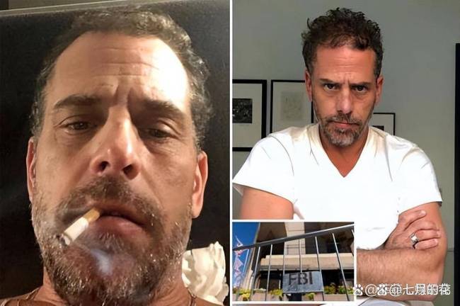 拜登儿子自曝欠债1500万美元！