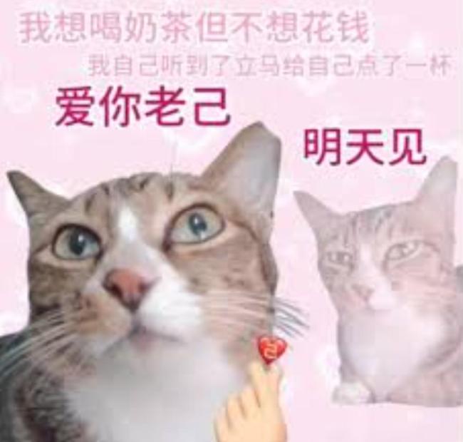 爱你老己今天领红包🧧 年度最善良的梗