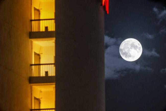 月全食、日全食、与流星雨共舞……2026观星指南来了丨天问 四季天象交响曲