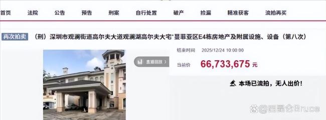 2亿元别墅欠物业费215万元 豪宅八折流拍谜团