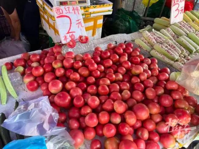 多地番茄零售价突破10元/斤 鸡蛋都快配不上了