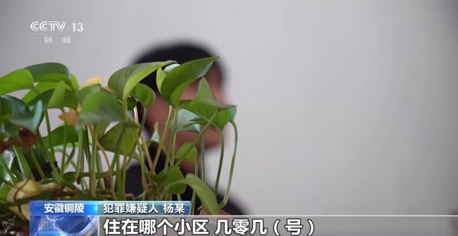 办贷款反成“背债人” 警方捣毁特大诈骗网