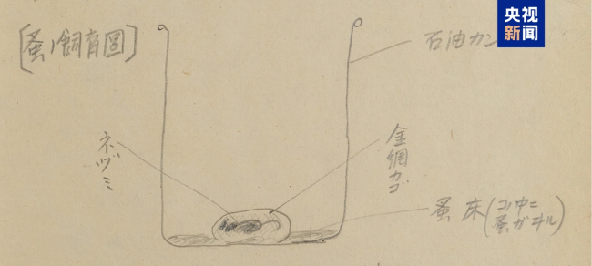 731部队每月产10公斤跳蚤用于细菌战 罪行再添铁证