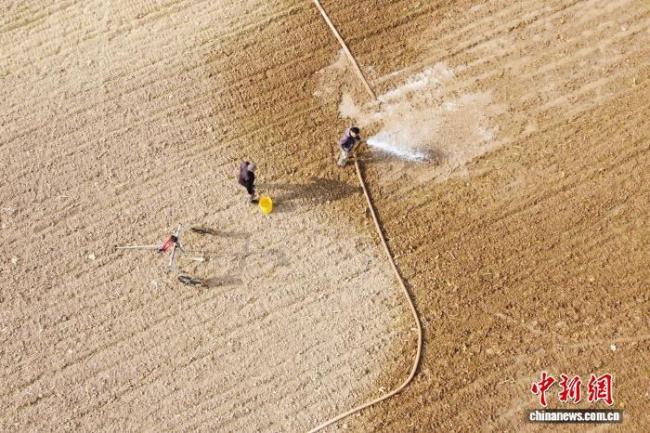 “中原粮仓”河南如何“知天而作”