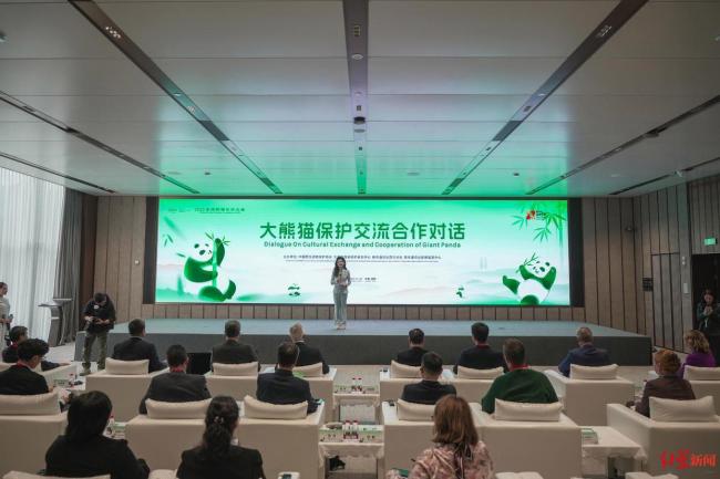 台北将向上海赠送一对黑脚企鹅 共促物种保育