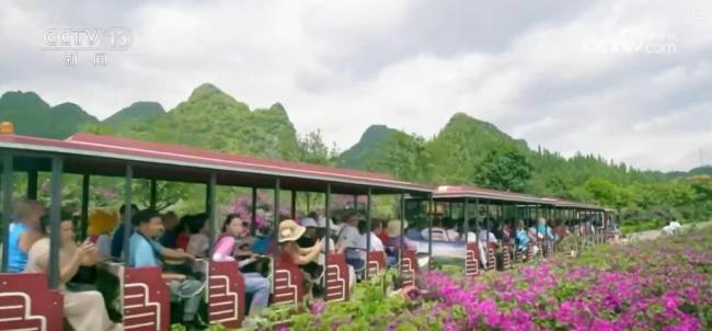 2025“三农”成绩单 脱贫地区稳步发展