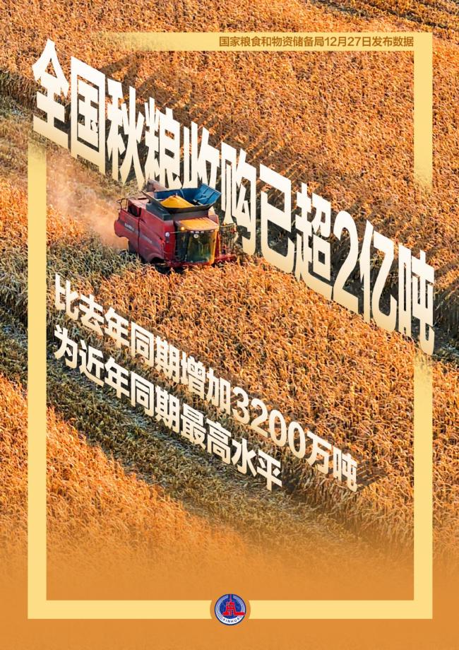 筑牢粮安“压舱石”守护民生“基本盘”:全链条发力端牢饭碗