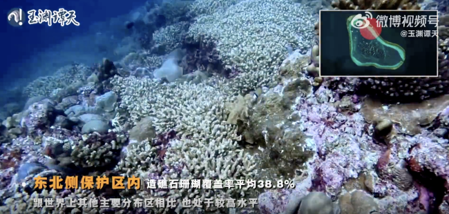 沉浸式体验黄岩岛“体检师”的一天