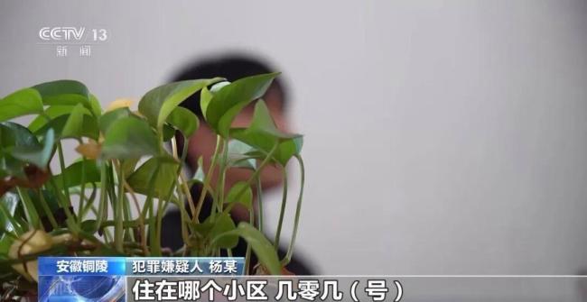 央视曝光特大贷款诈骗案 揭开金融黑灰产网络