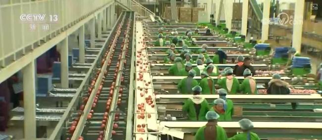 2025“三农”成绩单 脱贫地区稳步发展