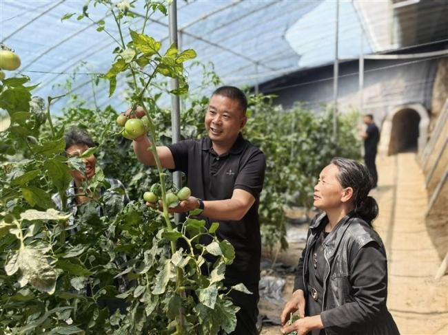 2025最后一件值得记录的事 平凡中的光芒