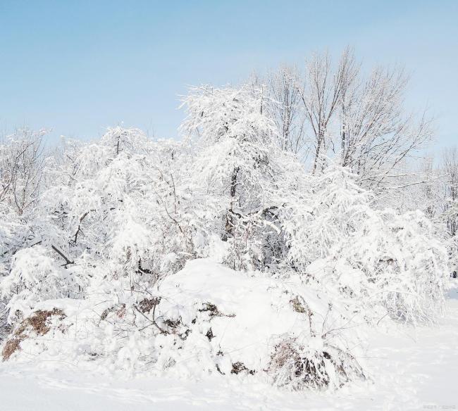 2026年第一强冷空气来了？拉尼娜最新消息 农民需警惕2件事