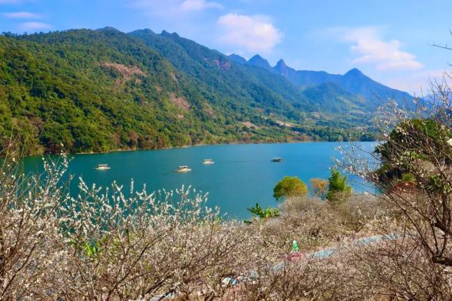 广州跨年仪式感拉满 多维文旅盛宴迎新年