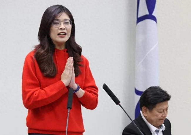 回顾2025年岛内社会撕裂，郑丽文：希望未来的代表字是“和”