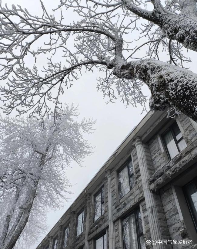 2026年第二场雪要来了 新一波冷空气接力南下