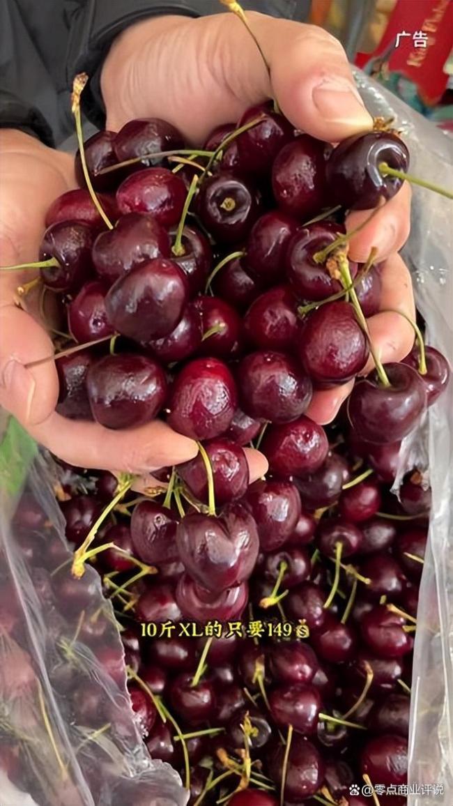 车厘子价格暴跌近40% 水果贵族走进寻常果篮