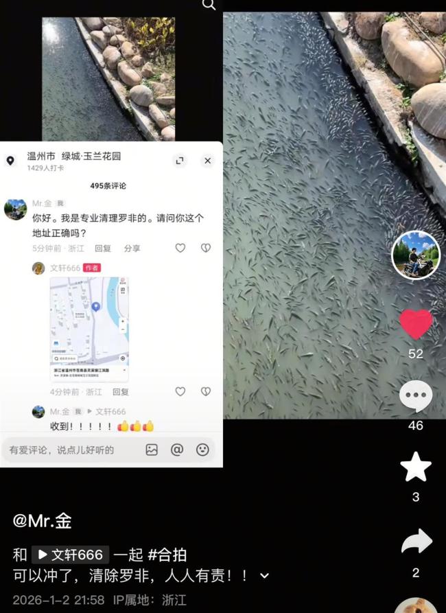 小区附近河道挤满罗非鱼 物业回应 自然生长未投喂