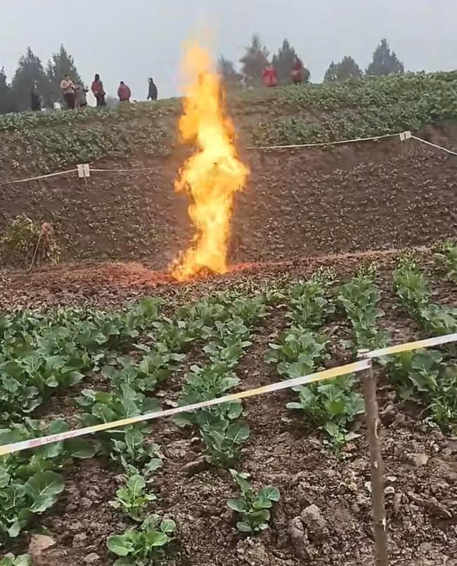 四川一菜地冒火已7天 人人前去检测
