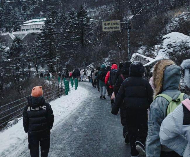 游客:在黑暗中的莽山哭着排队下山 寒风中的人气考验