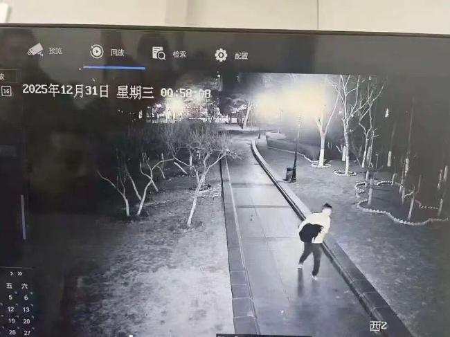 大连一只黑天鹅被盗疑遭宰杀 伴侣悲痛绝食