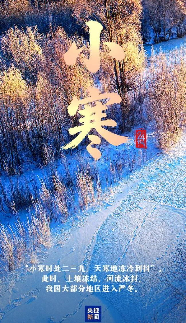 今日小寒 愿你心向暖阳 静待春归