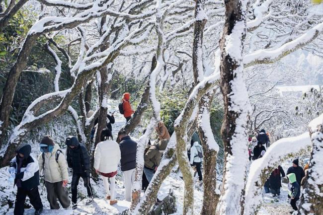 浙江天台华顶山雾凇奇观引客来 冬日童话世界