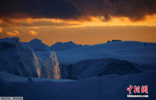 媒体：欧盟对委内瑞拉和格陵兰岛双标 地缘政治下的双重标准
